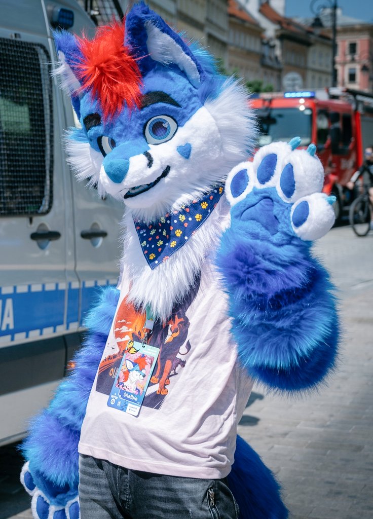 ShelbieBlueFox's tweet photo. "take a picture as if I'm not doing anything"
Photo by @adas_fennec https://t.co/eCrJpsMs8c