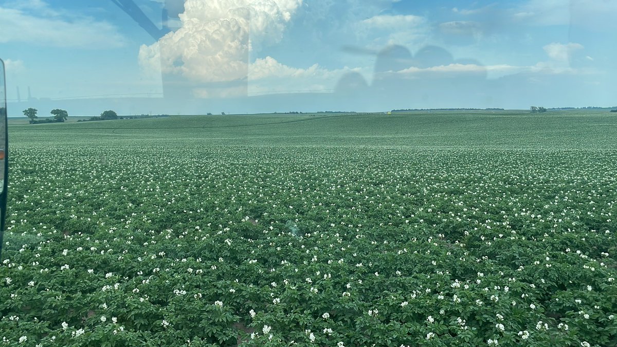 Roric Paulman tweet media