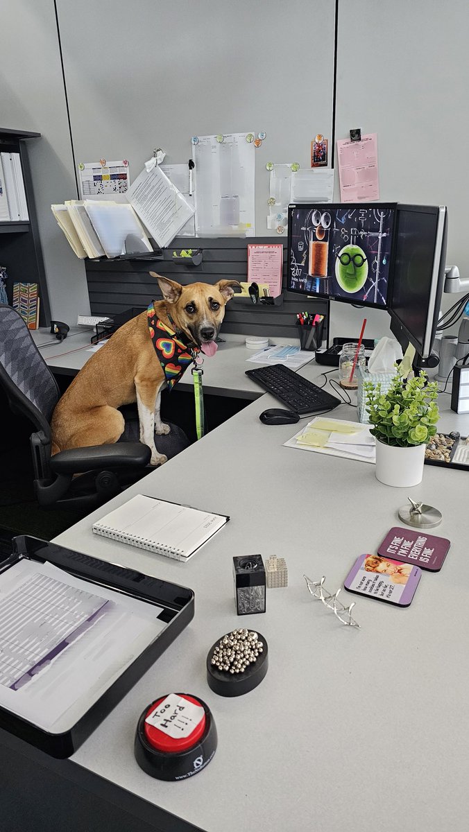 My new supervisor is the best. 
#TakeYourDogToWorkDay