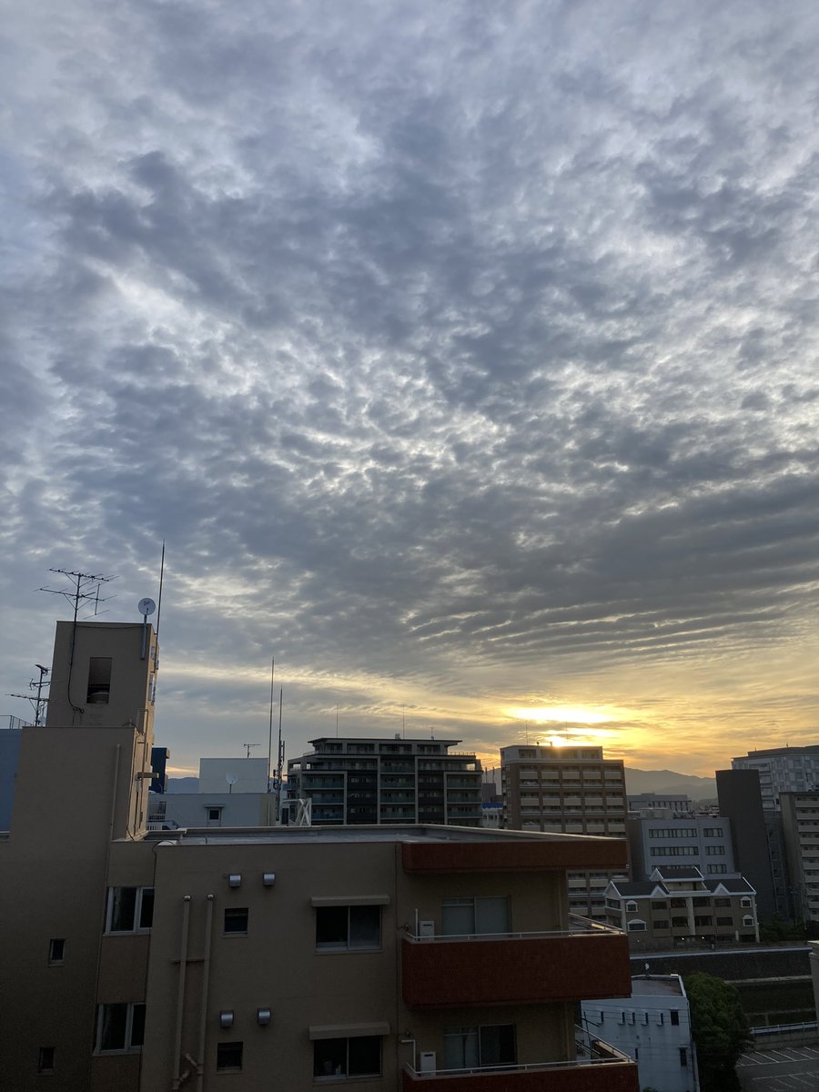 おはようございます！！！綺麗ー！！！