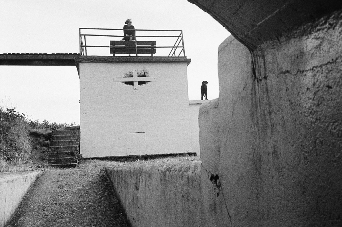 Ramparts

#LeicaM6 #IlfordHP5 #BlackAndWhite #FilmPhotography #StreetPhotography #BelieveInFilm #Vancouver #Vanspc #HomeDeveloping