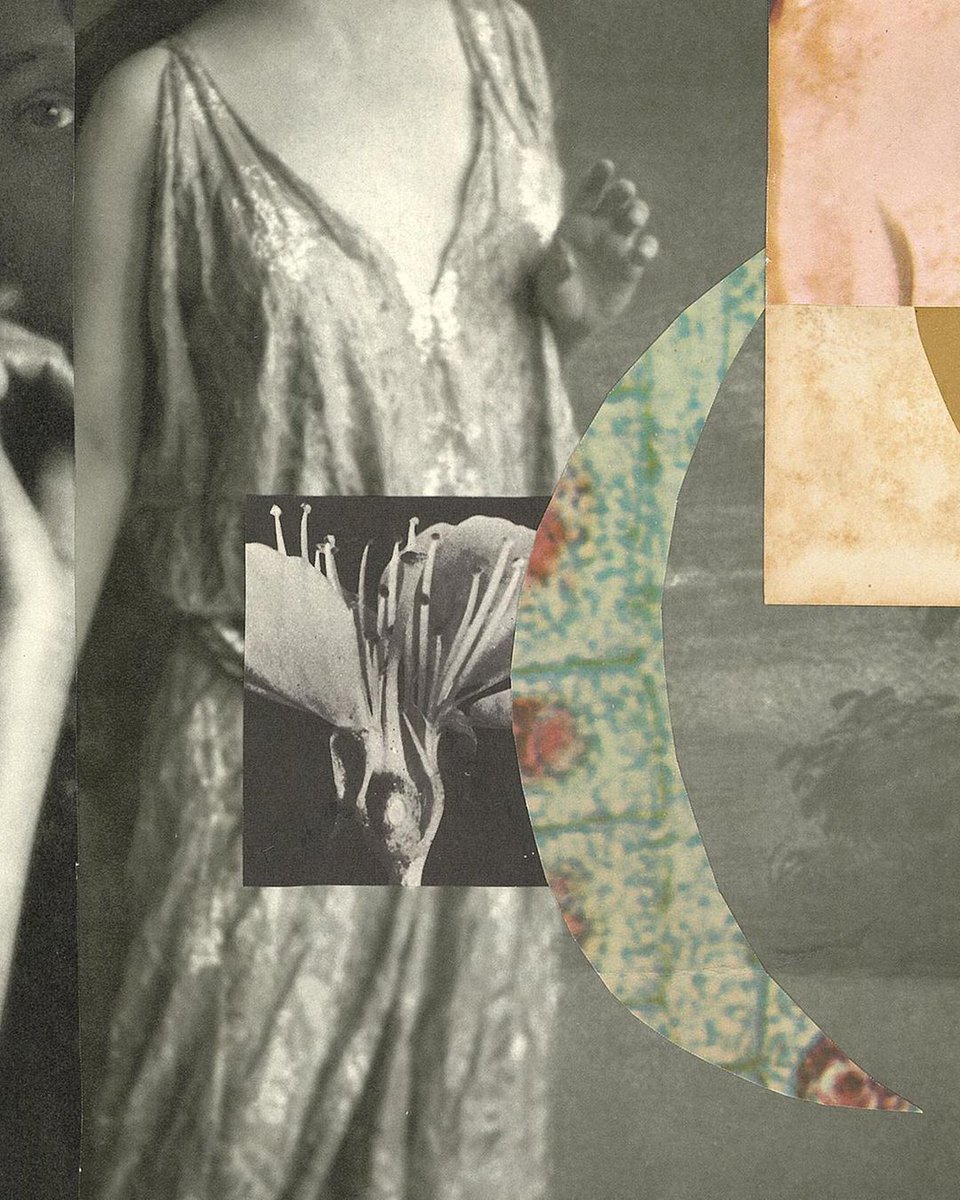 sbrdecolagem's tweet photo. seleciona as melhores colagens brasileiras.

Colagista: Gabriela Prestes _ @gabiprestes

#sociedadebrdecolagem
#collageart #art #design #artist #collageartist #colagem #collage #colagemmanual #colagembrasil #collagework #collageworldwide #collagewave #collagewave #artwork #dy https://t.co/bID6MBO4SU