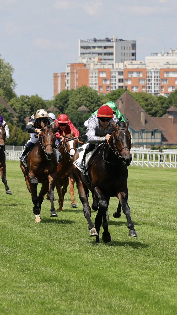 🥇 #Zelzal’s AUSTRAL breaks his maiden at Saint-Cloud 🇫🇷

The son of #Zelzal justifies favoritism scoring his 1st career victory in the Prix Youth at Hippodrome de Saint-Cloud. Bred by @harasdebourgeauville & trained by F Chappet, our 3yo was ridden to victory by @pasquito60