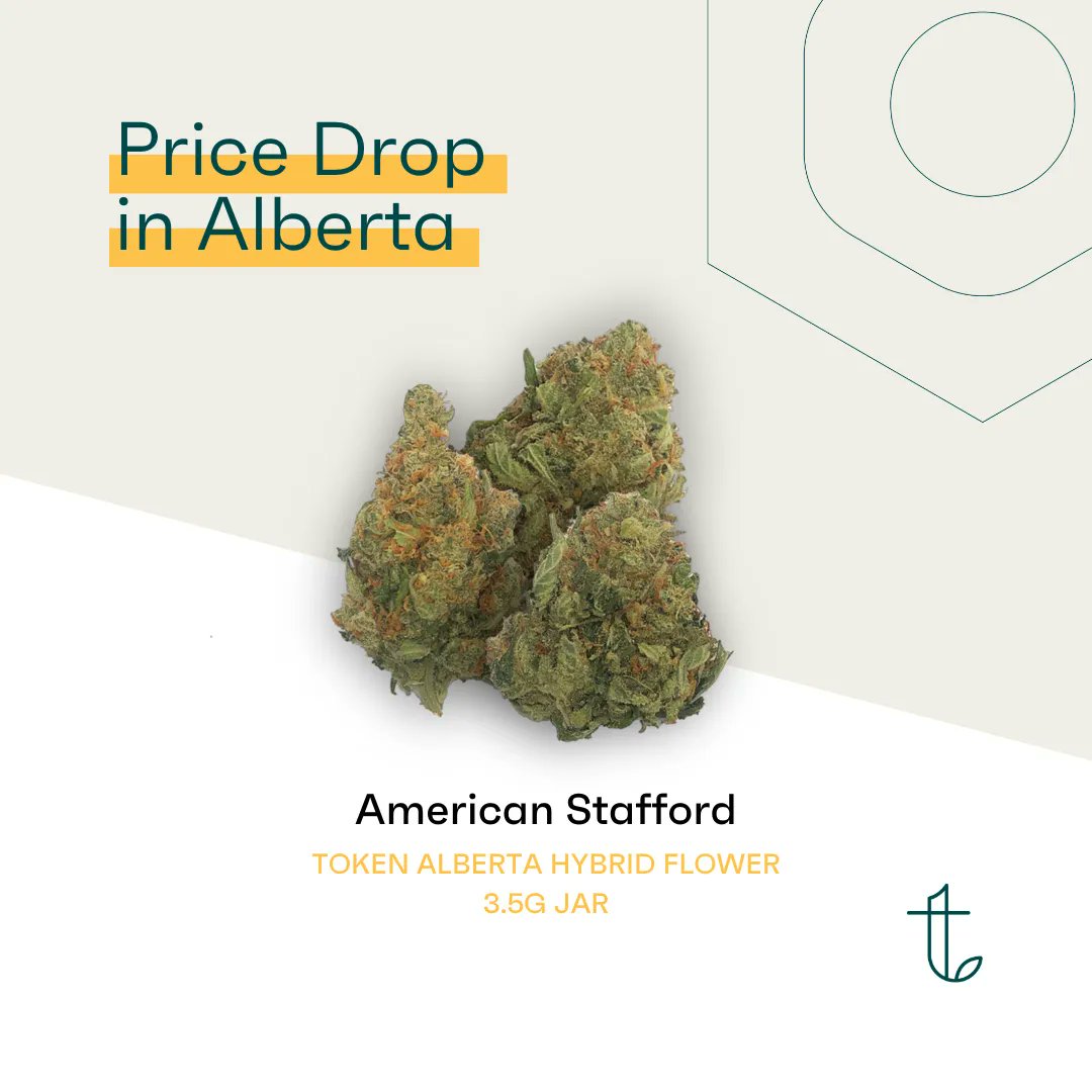 The price of our popular #TokenAlbertaFlower hybrid cultivar, American Stafford by Dutch Leaf Inc., has dropped just for you. 🌿 Swing by your nearest cannabis retailer to snag your 3.5g jar of Token Alberta Flower Hybrid today. 🎉 

#TokenNaturals #Cannabis #YEG #AlbertaGrown