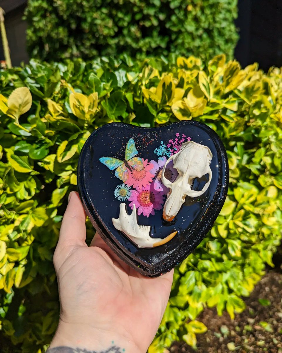 Headed out for the weekend - just a reminder there's new, cute oddities that are always ethically sourced in my shop! 🫶 gratefulbones.bigcartel.com