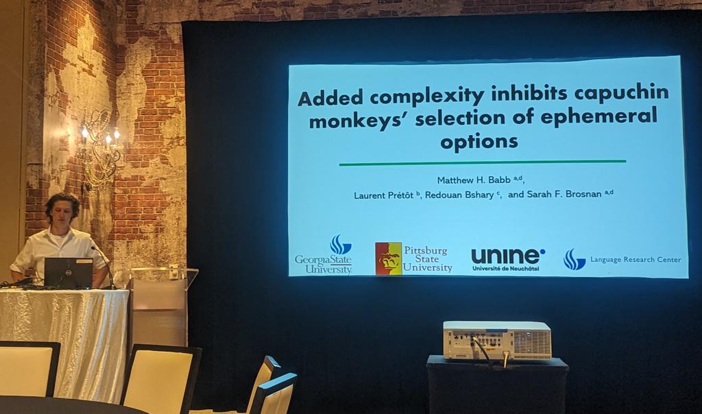 DrSFBrosnan's tweet photo. Capuchins are really good at maximizing their outcomes, until the decision becomes too complex. @MatthewBabb8 discusses why this may be and what it means for our understanding of primate decision making. #ASP2023Reno #CEBUSLab https://t.co/UTABZNRYKQ