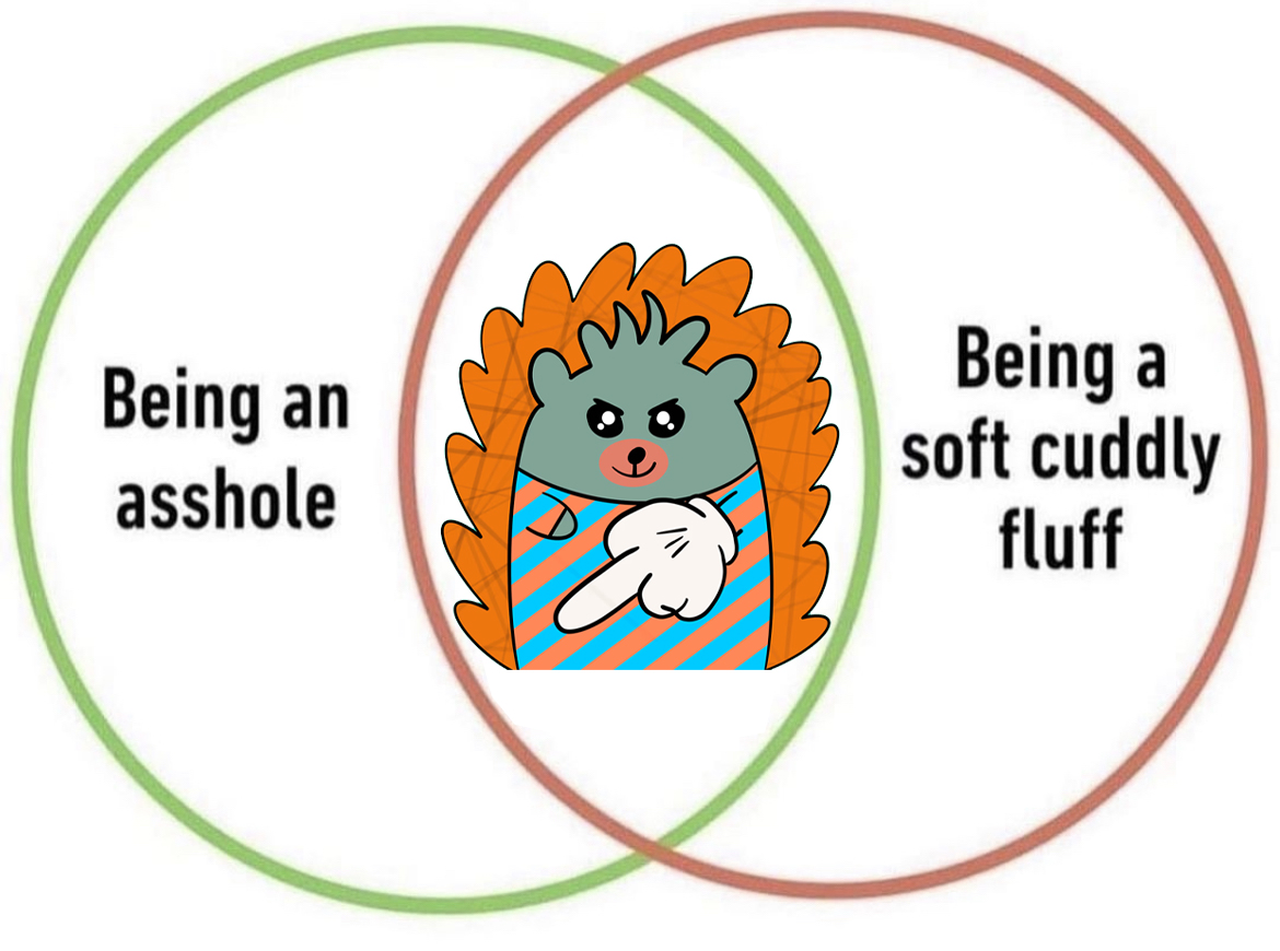 Fluffy Hedgehogs 🦔 tweet media