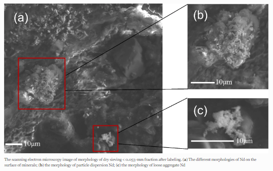 Journal_JSSPN's tweet photo. Published📢Rare Earth #Oxides for Labeling an #Andisol Aggregate Turnover: Optimization, Verification, and Distribution
Read at https://t.co/DcQoiDb6sY https://t.co/1POXkA2jtB