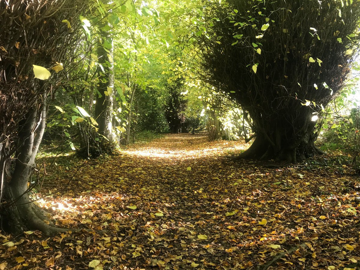 dukesdrivegroup's tweet photo. FREE GUIDED NATURE WALKS. Would you be interested in free guided nature walks off the beaten track in Duke's Drive Chester and beyond? Please share and reply below to help us decide if there is enough interest. Or email dukesdrivechester@gmail.com https://t.co/kGlbNAuNbS