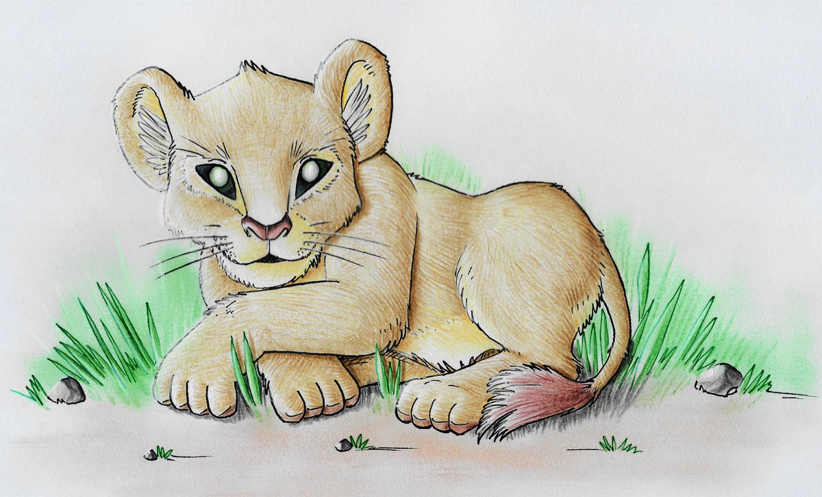 HouseShonen's tweet photo. #shonenhouse #chodoubutsu #lion #traditionalart https://t.co/L1AZncU8pp