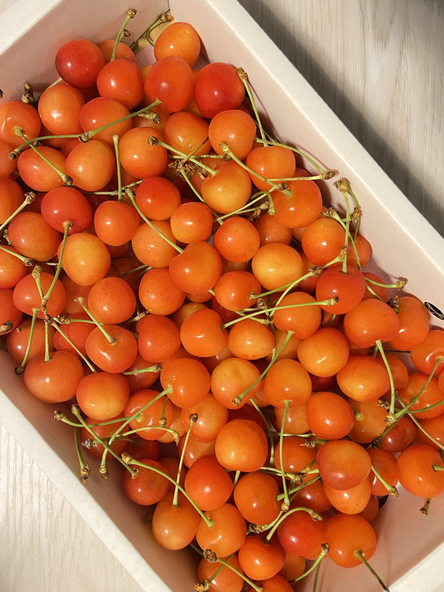 Navire_cherry's tweet photo. 今年もさくらんぼの時期がやってきました🍒

#チェリーボンボン
#お取り寄せ 
#お取り寄せスイーツ
#限定スイーツ https://t.co/U9INEkERNF