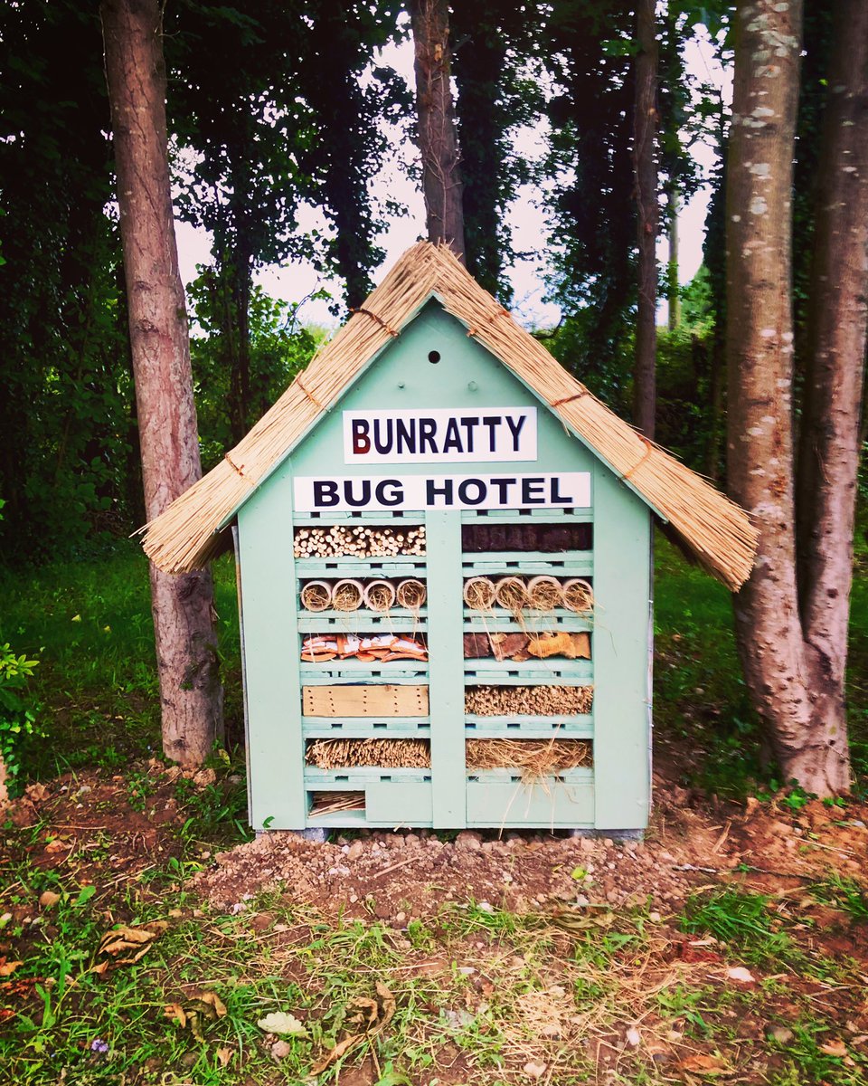 Bunratty Bug Hotel open for buzzness <a href="/IrishTimesNews/">Irish Times News</a> #Sustainability #biodiversity #SustainableFuture