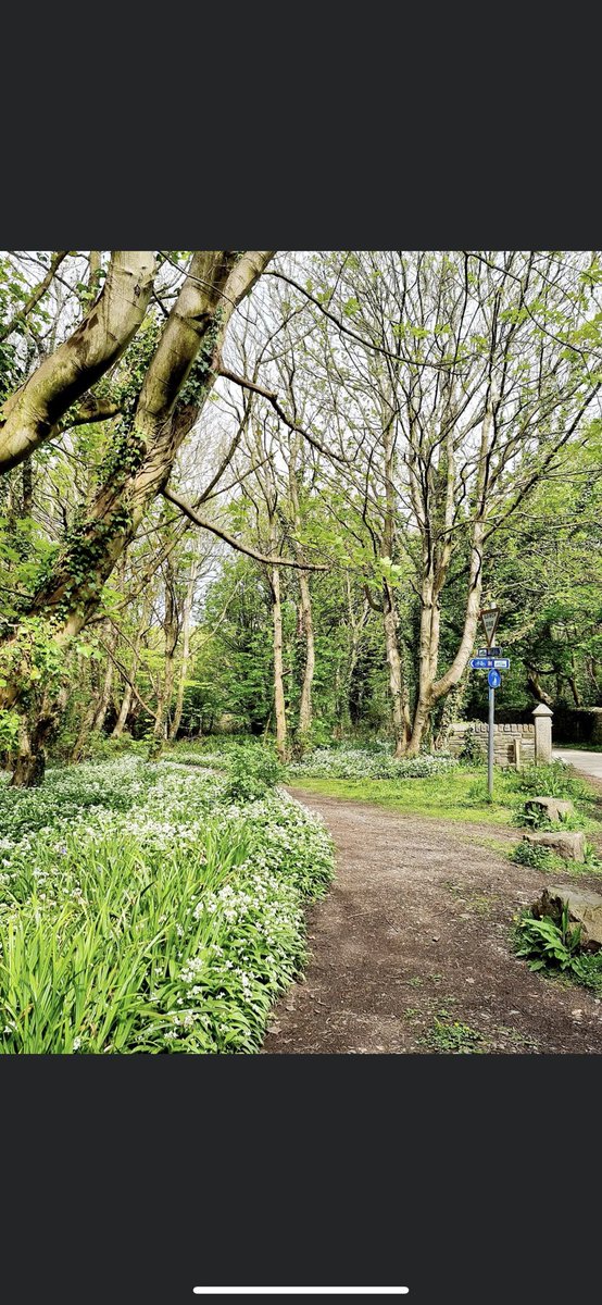 Penrhos is beautiful wherever you look. Please keep it that way. We do Not want cabins we want our green space we have walked for 40 years plus! Why should our children lose this amenity? It's their history! #stopthechop