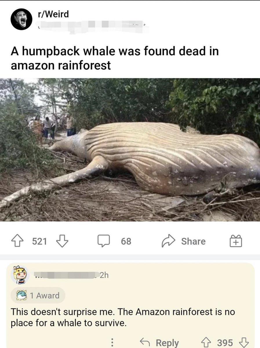 non aesthetic things (@picturesfoider) on Twitter photo 