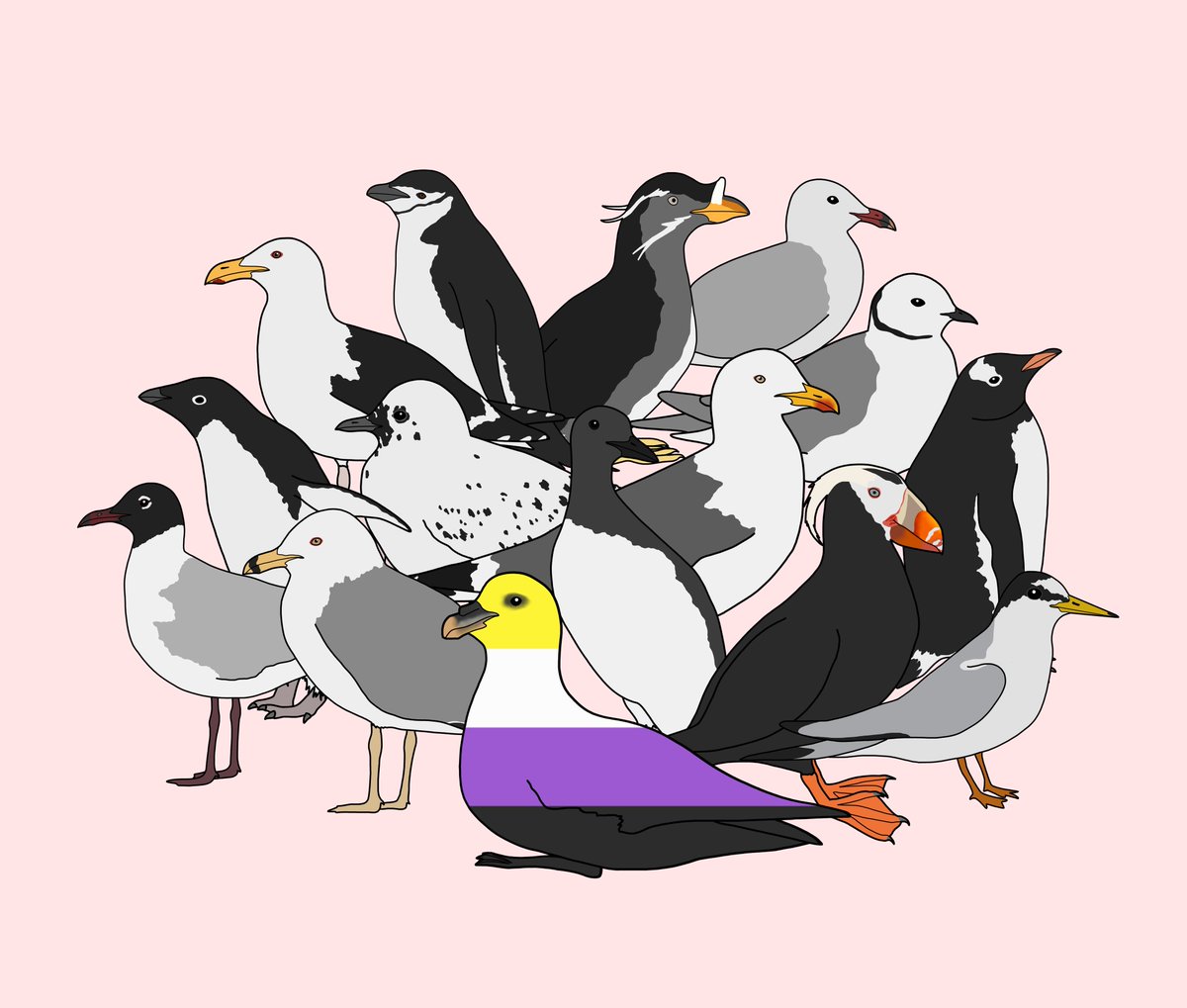 For the end of #PrideMonth, I want to acknowledge the friends/colleagues who have supported me unconditionally as a non-binary #seabird scientist, who stand with me against transphobia and always make sure I feel safe being myself. I wouldn't be able to do this without ya'll 💜