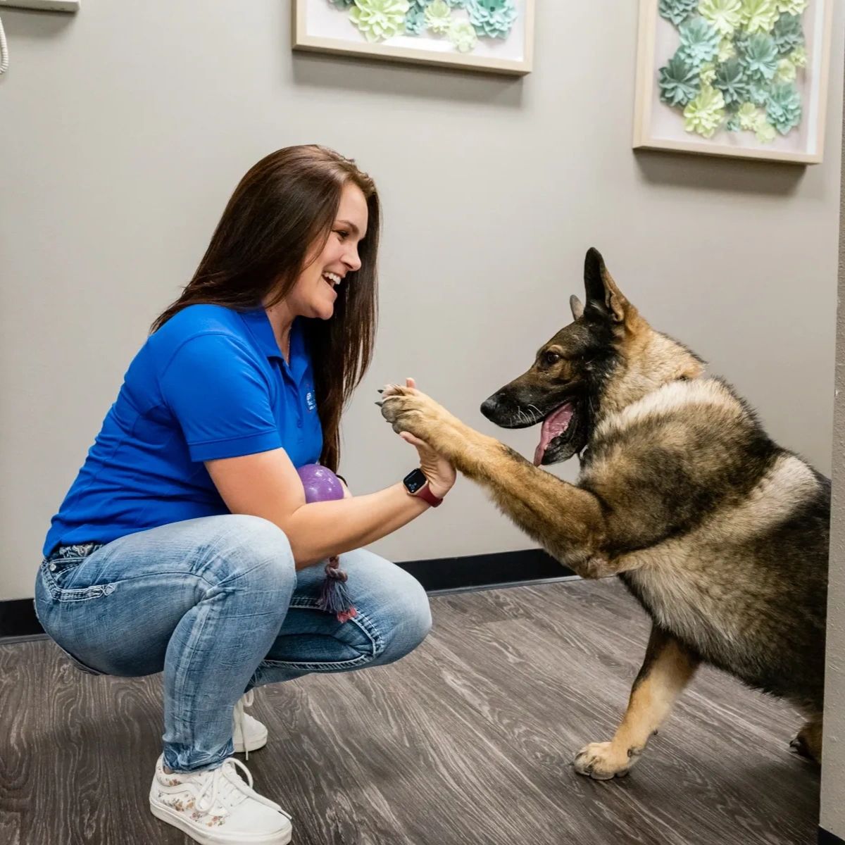 Brantleyinc's tweet photo. At Brantley Security, we take pride in providing top-notch security services and real, human customer service. Have you had a positive experience with our team? Leave a comment and let us know! https://t.co/IC8ehhdJSQ