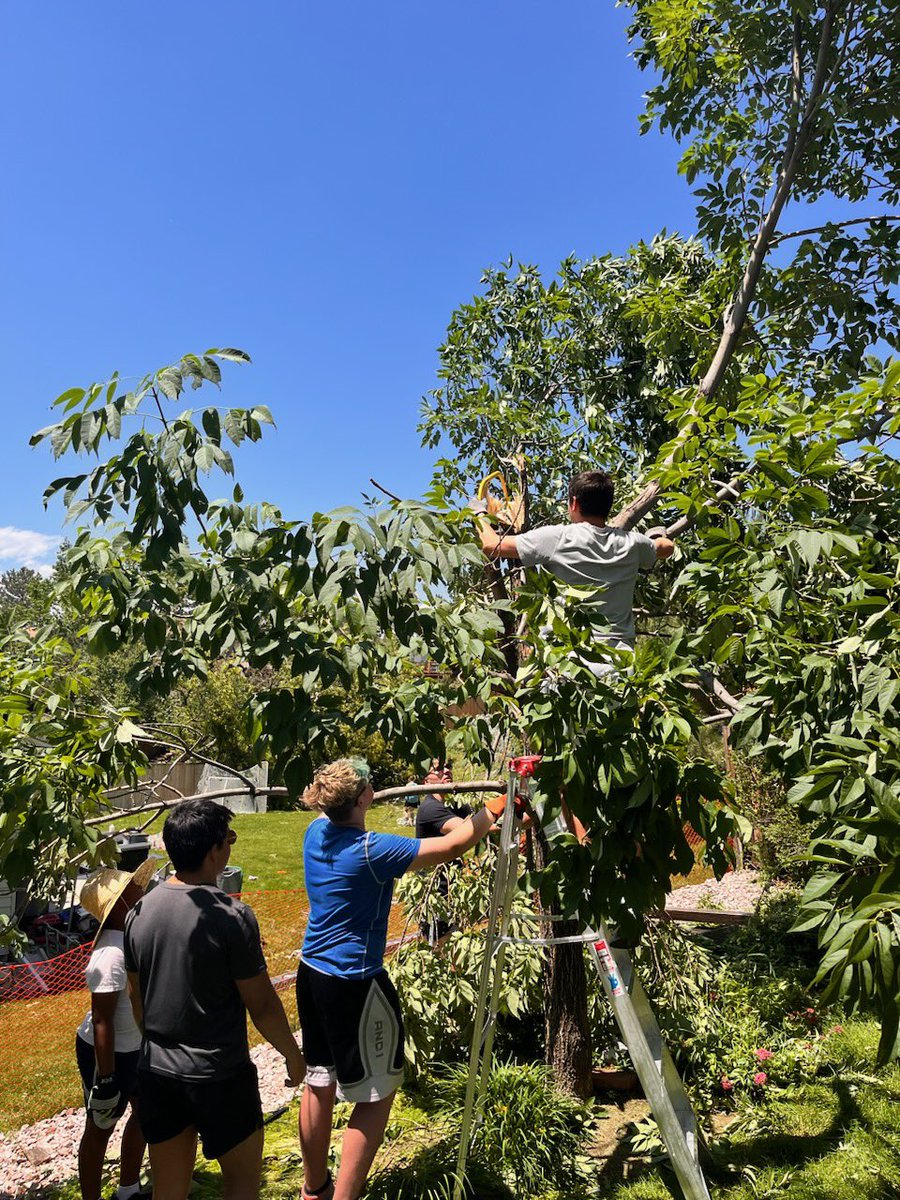 ALChavezz's tweet photo. Kudos to ARAPAHOE HIGH SCHOOL FOOTBALL for helping people in Highlands Ranch after yesterday’s tornado. 

Not one Eagle, Falcon, Grizzly or Jaguar seen! https://t.co/ihjxOYb6g5
