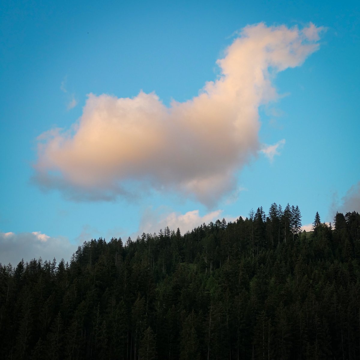 Last light 👌🏽.

#clouds #landscapephotography #landscape #cloudphotography #earthtones