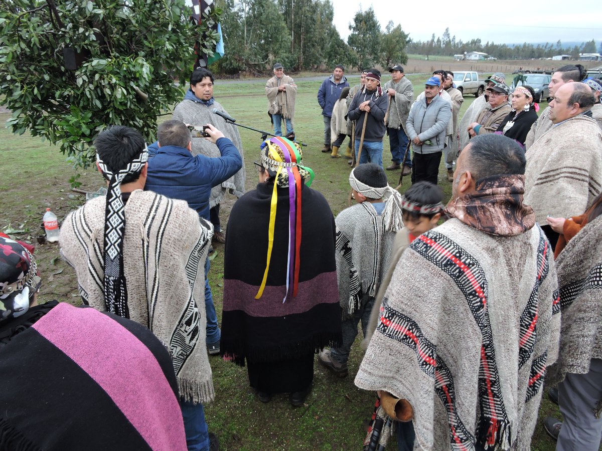 CONADI_Gob's tweet photo. 📍HOY en #Perquenco el Director Nacional de CONADI, Luis @Penchuleo Morales, presidió la restitución de sitio ceremonial #paliwe y #gillatuwe para comunidad #mapuche Juan Terán #WiñolTxipantü #PlanBuenVivir #Araucanía #CONADI30años #LeyIndígena30años https://t.co/LCUc7EoYS0
