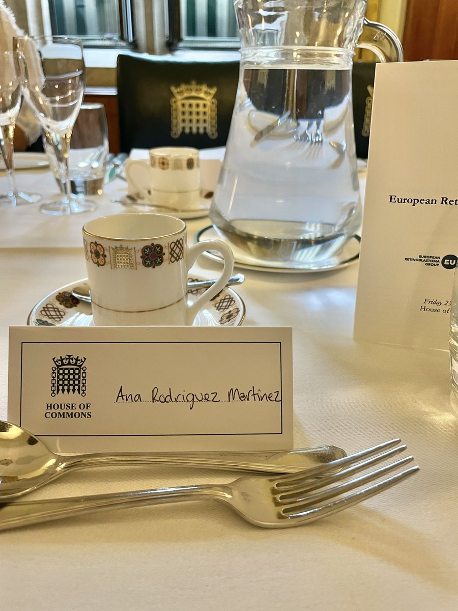 Amazing dinner from the European Retinoblastoma group meeting today at the #houseofcommons @EuropeRbG @childrenseyes