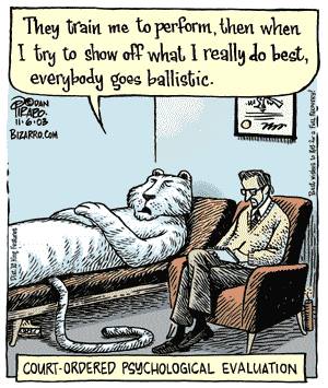Animals don't belong in circuses. Period.
---&gt; circusprotest.com