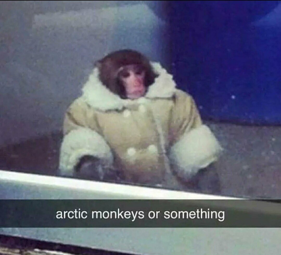 No Context Brits (@nocontextbrits) on Twitter photo 