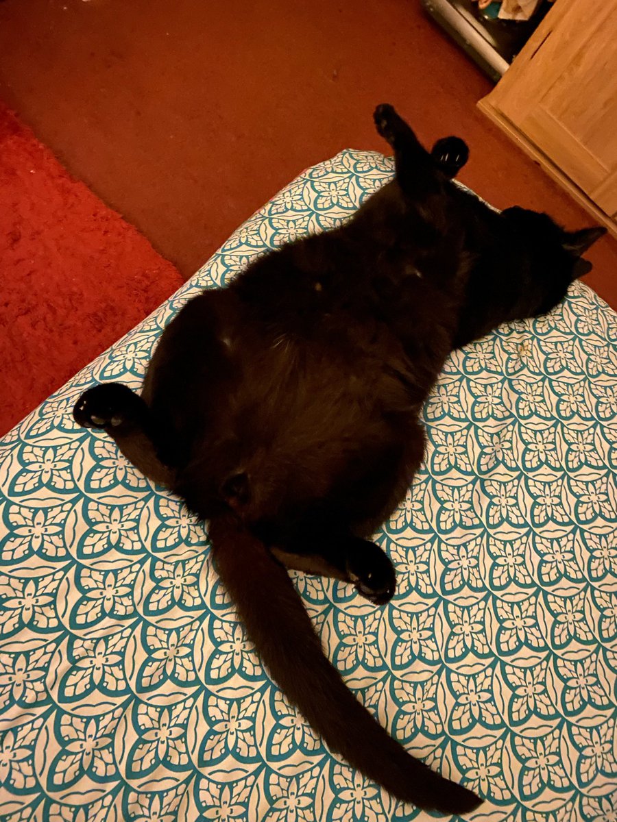 Ralph Randall 🐠🇺🇦 tweet media