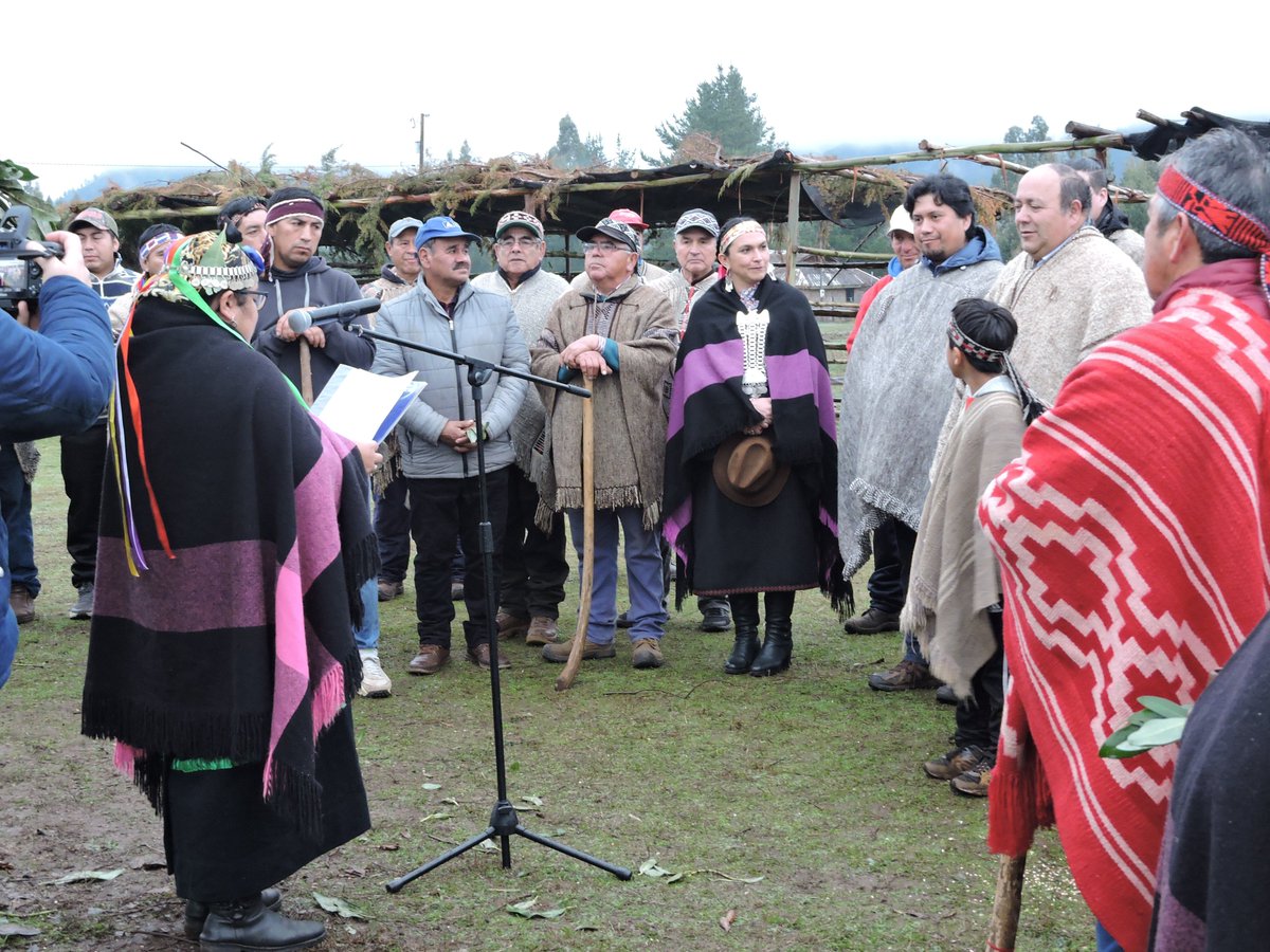 CONADI_Gob's tweet photo. 📍HOY en #Perquenco el Director Nacional de CONADI, Luis @Penchuleo Morales, presidió la restitución de sitio ceremonial #paliwe y #gillatuwe para comunidad #mapuche Juan Terán #WiñolTxipantü #PlanBuenVivir #Araucanía #CONADI30años #LeyIndígena30años https://t.co/LCUc7EoYS0