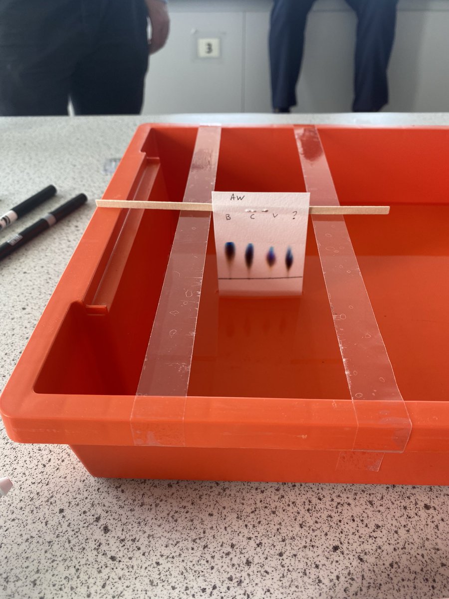 macaulay_mr's tweet image. I can’t take credit for this but my department can. Today we discovered a new way of carrying out chromatography on a large scale ahead of the #CLFBigStep Y6 transition week…. #sciencechat #science