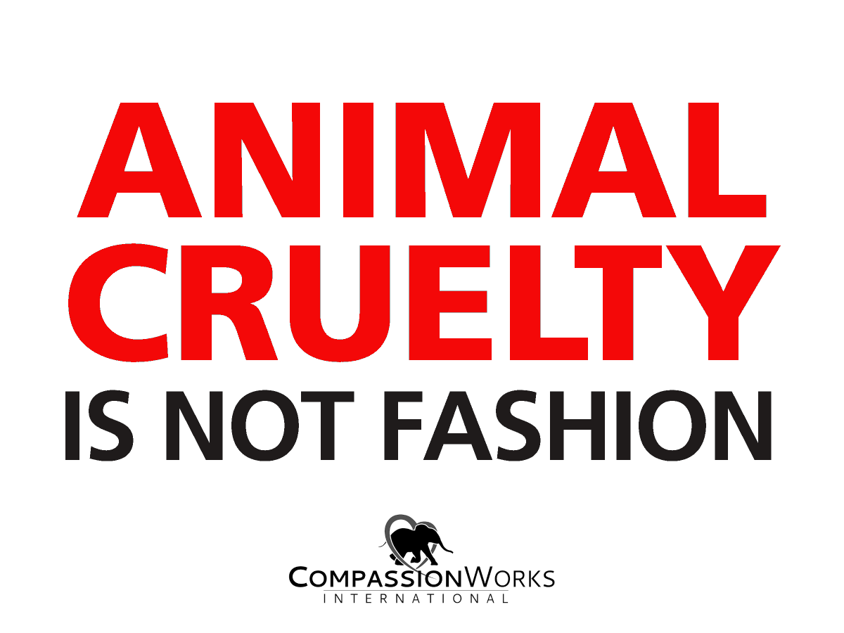 Animals are friends, not clothing.