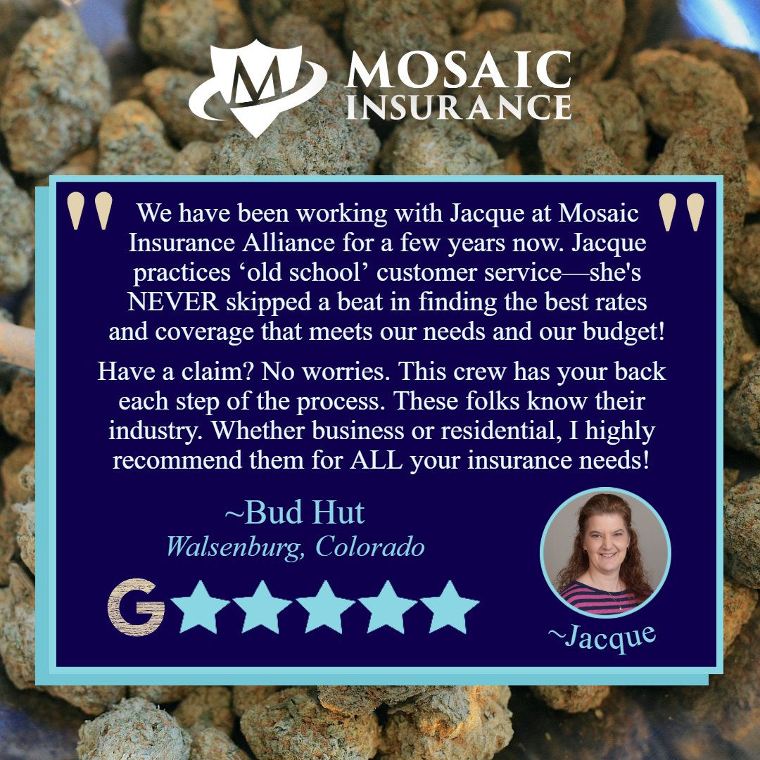 Thanks for your review & for your #business over the years, Bud Hut! Jacque has a thank you of her own: “I think that you are equally great, & I definitely enjoy working with you on both of your accounts!”

#Mosaicia #TeamMosaic #businesses #smallbusiness #cannabis #marijuana