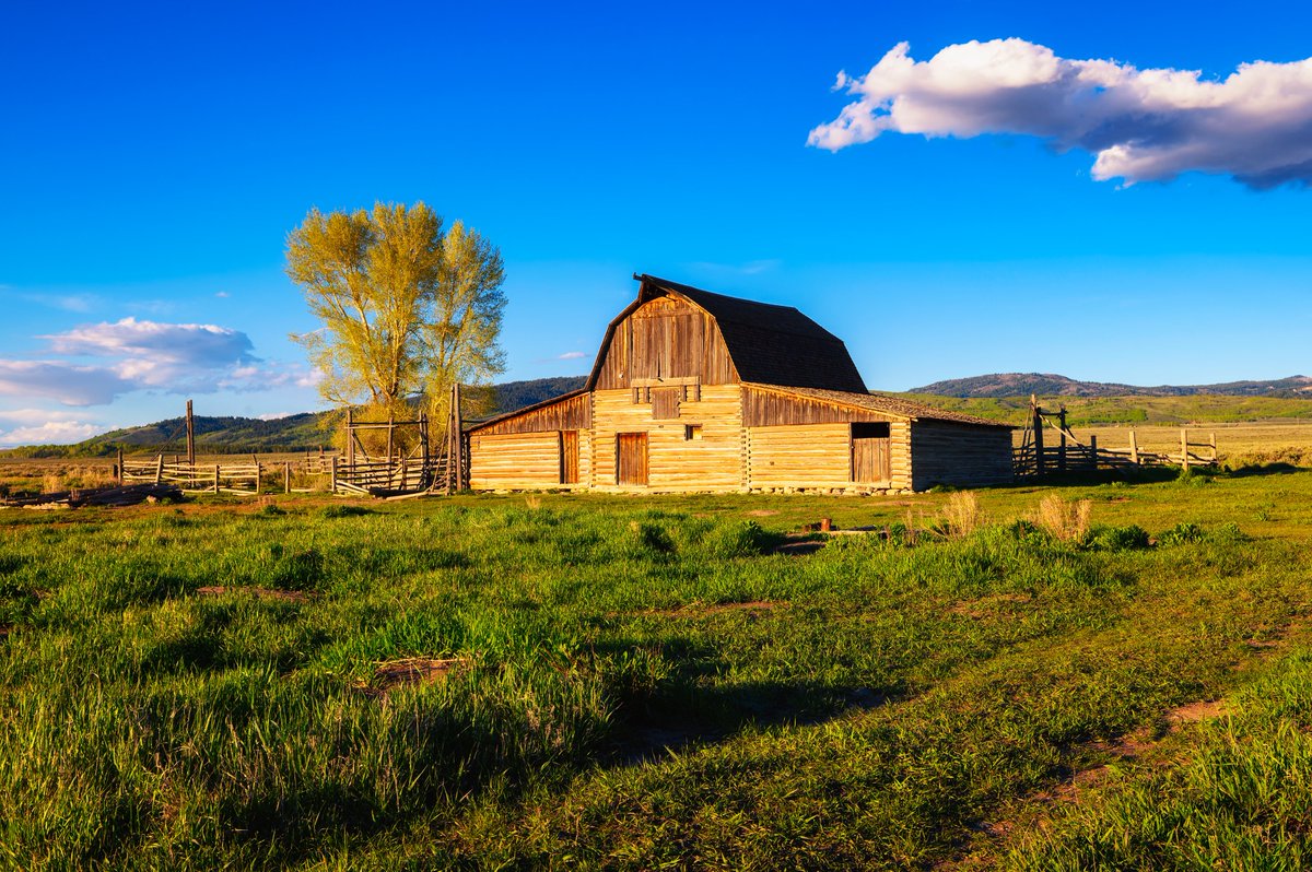 Historic Hohn Moulton barn at Mormon Row 

Grand Teton National Park Wyoming 🤍