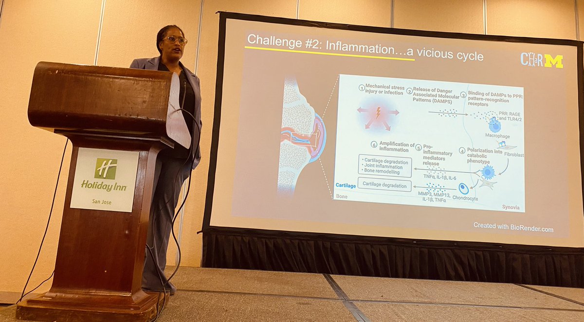 MokhtariTahere's tweet photo. Amazing talk filled with CHARM (Cartilage Healing &amp; Regenerative Medicine) by Dr. Rhima Coleman on a novel genetic cicuit to repress RUNX2, tackling both inflammation &amp; hypertrophic feature to enhance cartilage repair with reprogrammed MSC-derived chondrocytes #AIChE #SBE #mSBW https://t.co/T4NMQDITAd