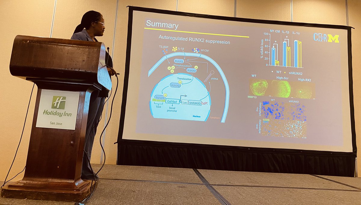 Amazing talk filled with CHARM (Cartilage Healing & Regenerative Medicine) by Dr. Rhima Coleman on a novel genetic cicuit to repress RUNX2, tackling both inflammation & hypertrophic feature to enhance cartilage repair with reprogrammed MSC-derived chondrocytes #AIChE #SBE #mSBW