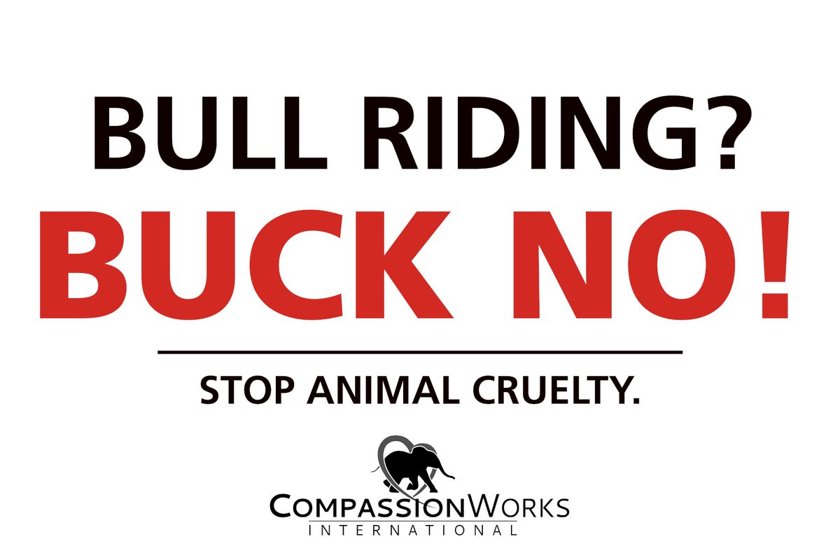 Say NO to bull riding!