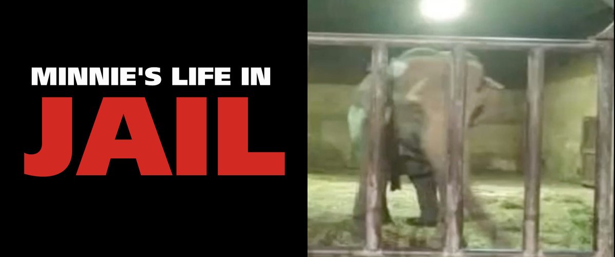 Sign and share for Minnie! --&gt; change.org/p/tom-vilsack-…