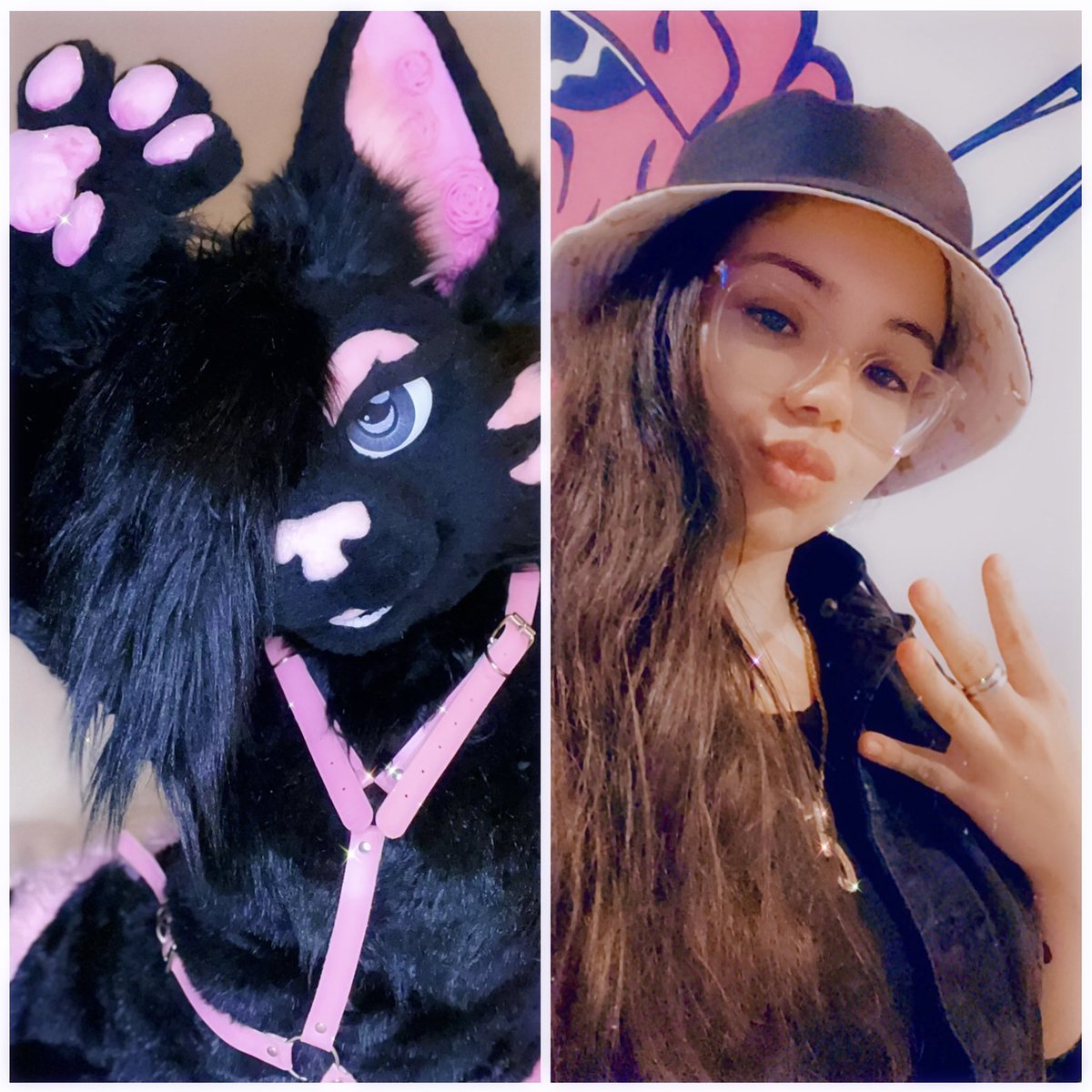 Suit vs Suiter! 
How to find me at Anthrocon💕
#furry #fursuiter