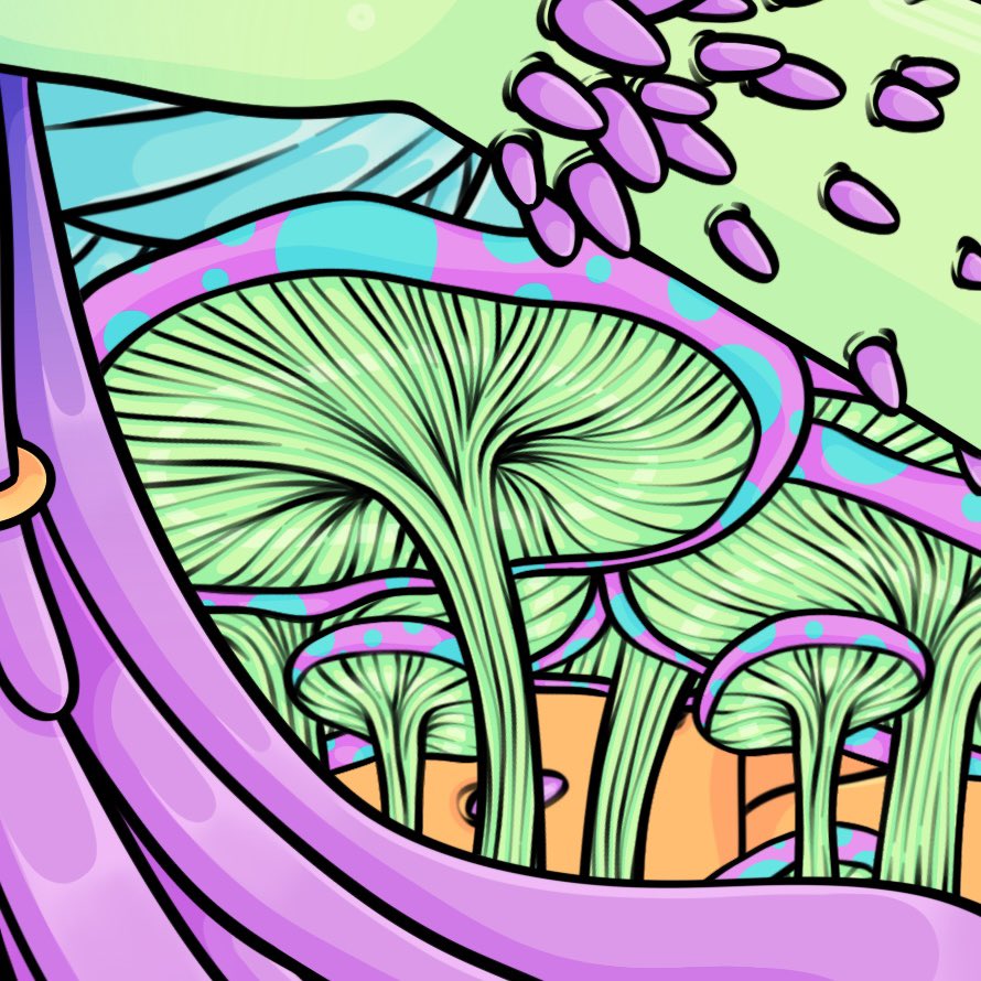 Aoife O’Dwyer tweet media