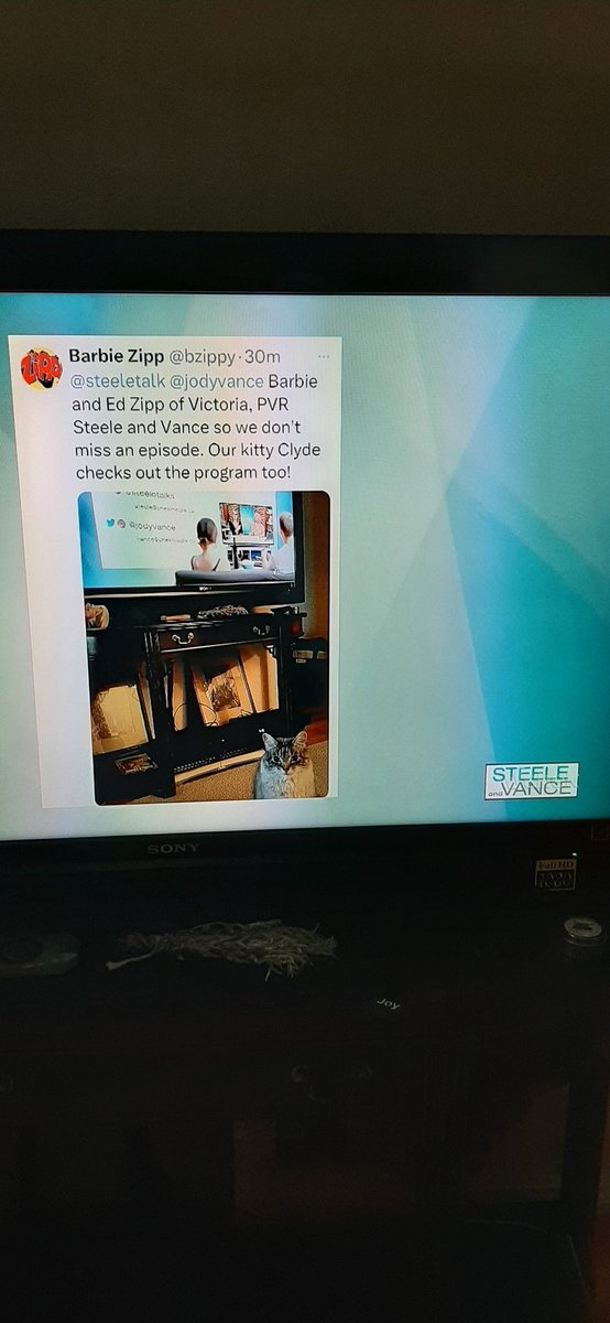 Barbie Zipp tweet media