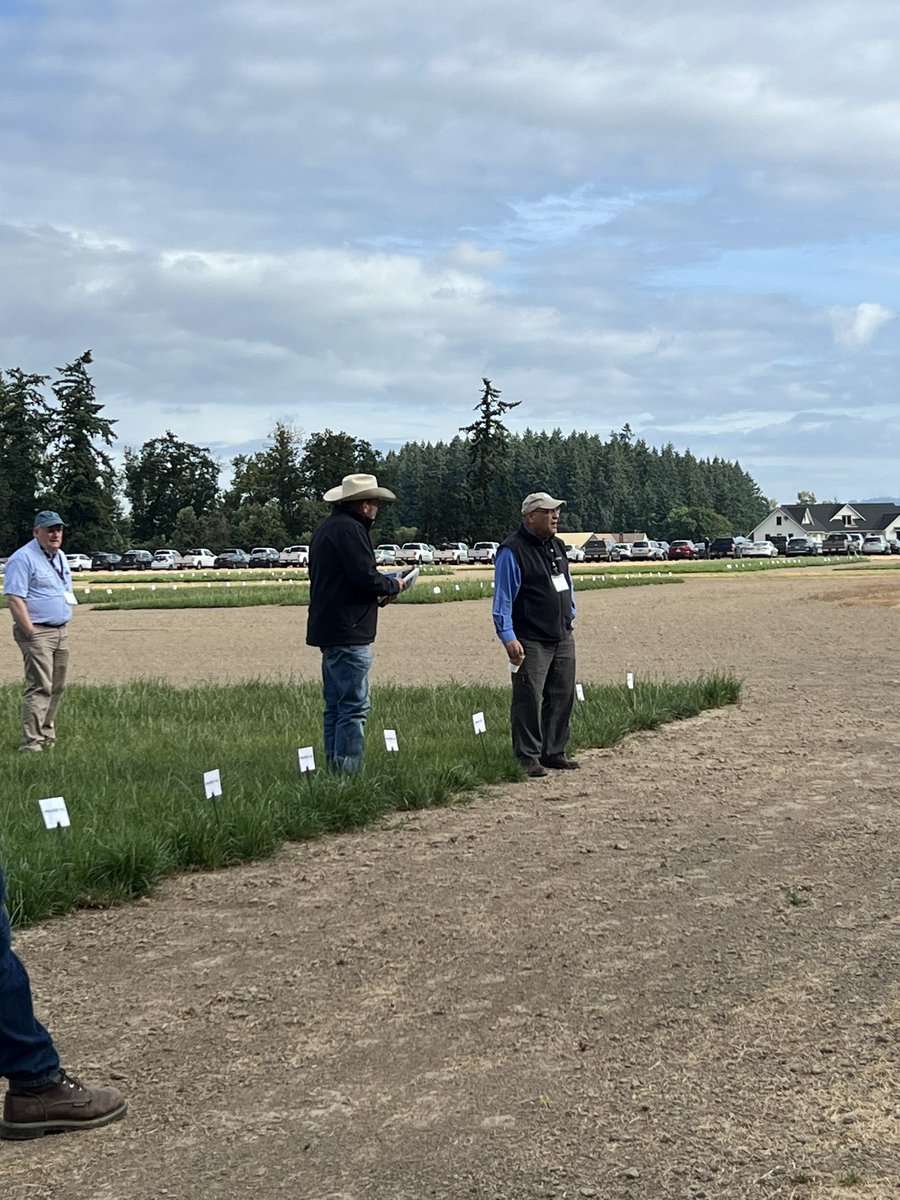 DrJJTuga's tweet photo. I spent #NationalForageWeek in the Willamette Valley “the cool season grass seed production capital of the world”! Special thanks to @MtnView_Seeds for the opportunity to speak about our program at the field day and visit beautiful Oregon! #UGABeef #MVSForage #Collaboration https://t.co/PHUsgJUNrV