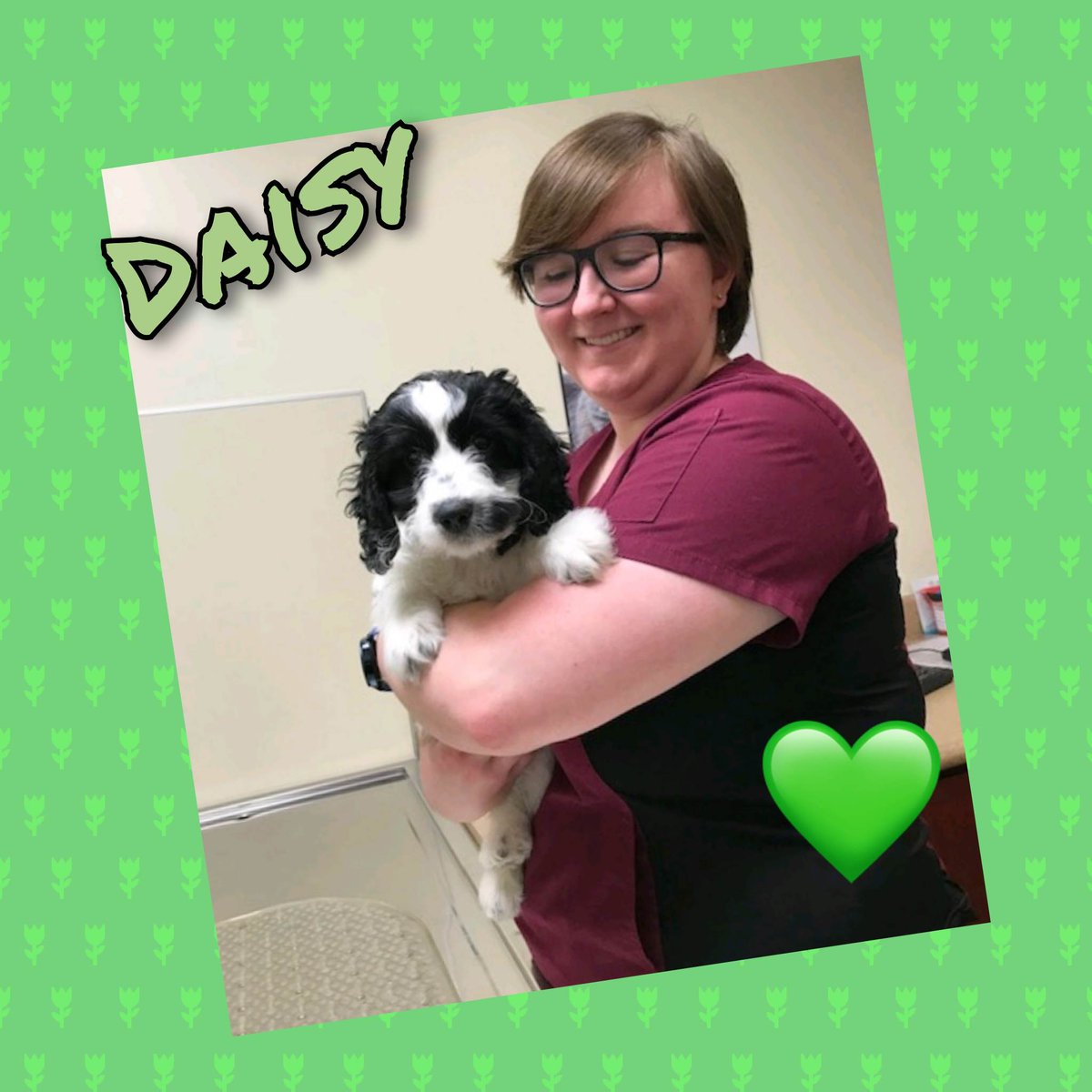 Meet Daisy!
#Petoftheday #kingston #ontario #24hrhospital #afterhoursvet #veterinarycare #petcare #animalhospital #24hour #princessanimalhospital #kingstondowntownanimalhospital