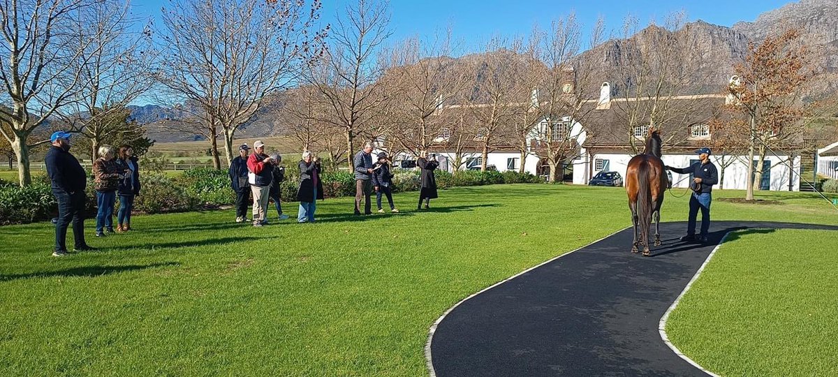 AusRacingTours's tweet image. A wonderful day exploring the Cape with a visit to the most picturesque Drakenstein Stud, a delightful wine tasting and lunch at Avontuur Estate , and finished the day on top of Tabletop Mountain 🤩 #howstheserenity 🇿🇦

#durban #durbanjuly #southafrica