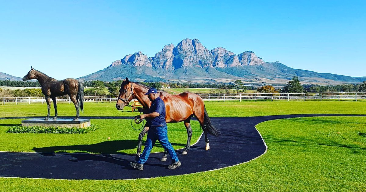 AusRacingTours's tweet image. A wonderful day exploring the Cape with a visit to the most picturesque Drakenstein Stud, a delightful wine tasting and lunch at Avontuur Estate , and finished the day on top of Tabletop Mountain 🤩 #howstheserenity 🇿🇦

#durban #durbanjuly #southafrica