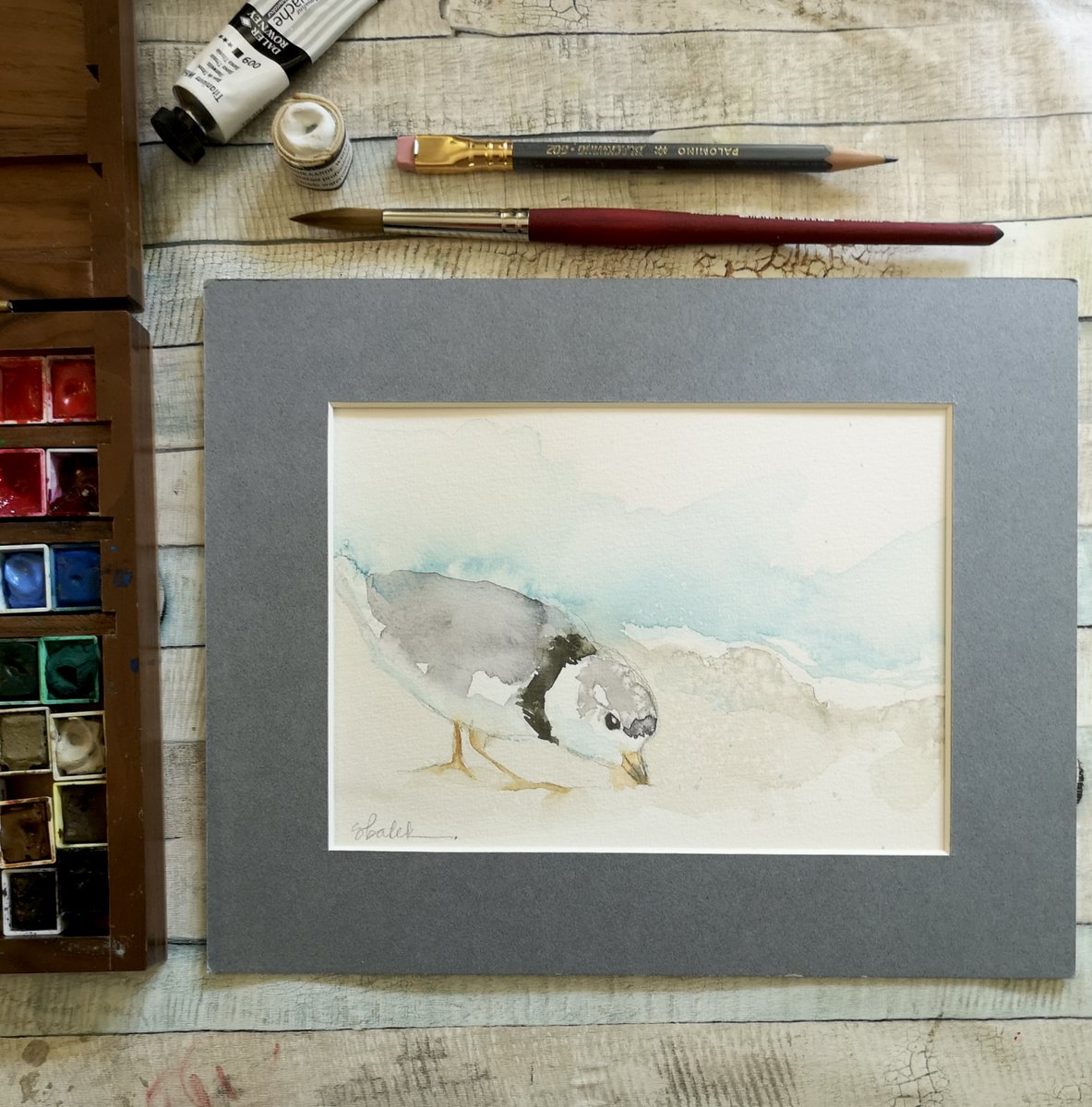 Just a note to let you all know that I’ve listed a bunch of new “pay what you can” original paintings over on my ko-fi page. This little #pipingplover is one! link is in my profile 😁 

#originalart #paywhatyoucan #watercolorpainting