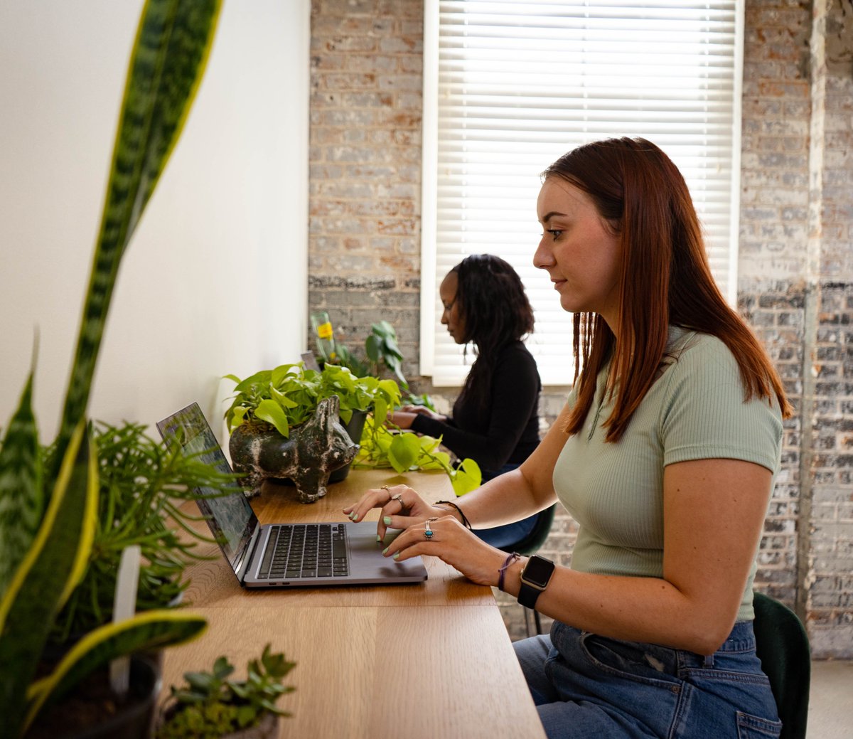 Online Optimism tweet media