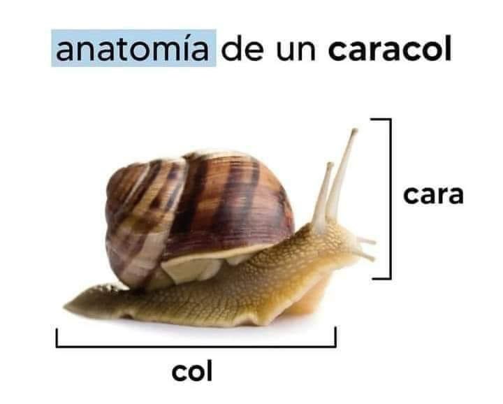 shitpostverdade's tweet photo. https://t.co/UFTnDqrigT
