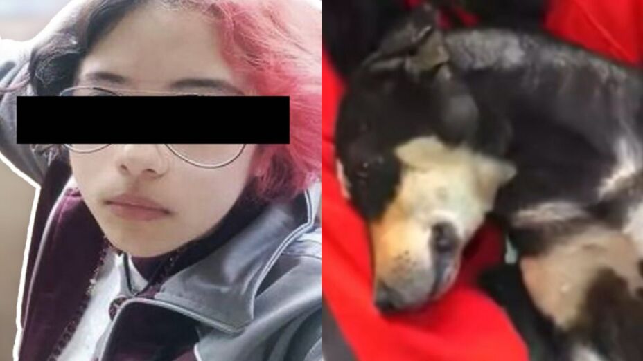 POR SER MENOR DE EDAD.

#Puebla | Vanessa “N” quien torturó y asesinó a “#Huellitas” así como a otros perritos en #Huauchinango, no pisará la cárcel y su proceso lo llevará en libertad. #JusticiaParaHuellitas