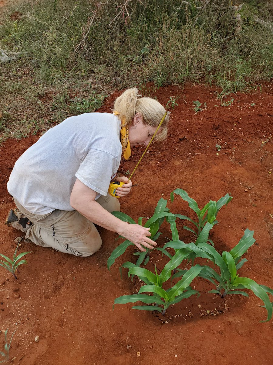 ThomasScienceEd🌱🦋🌎 tweet media