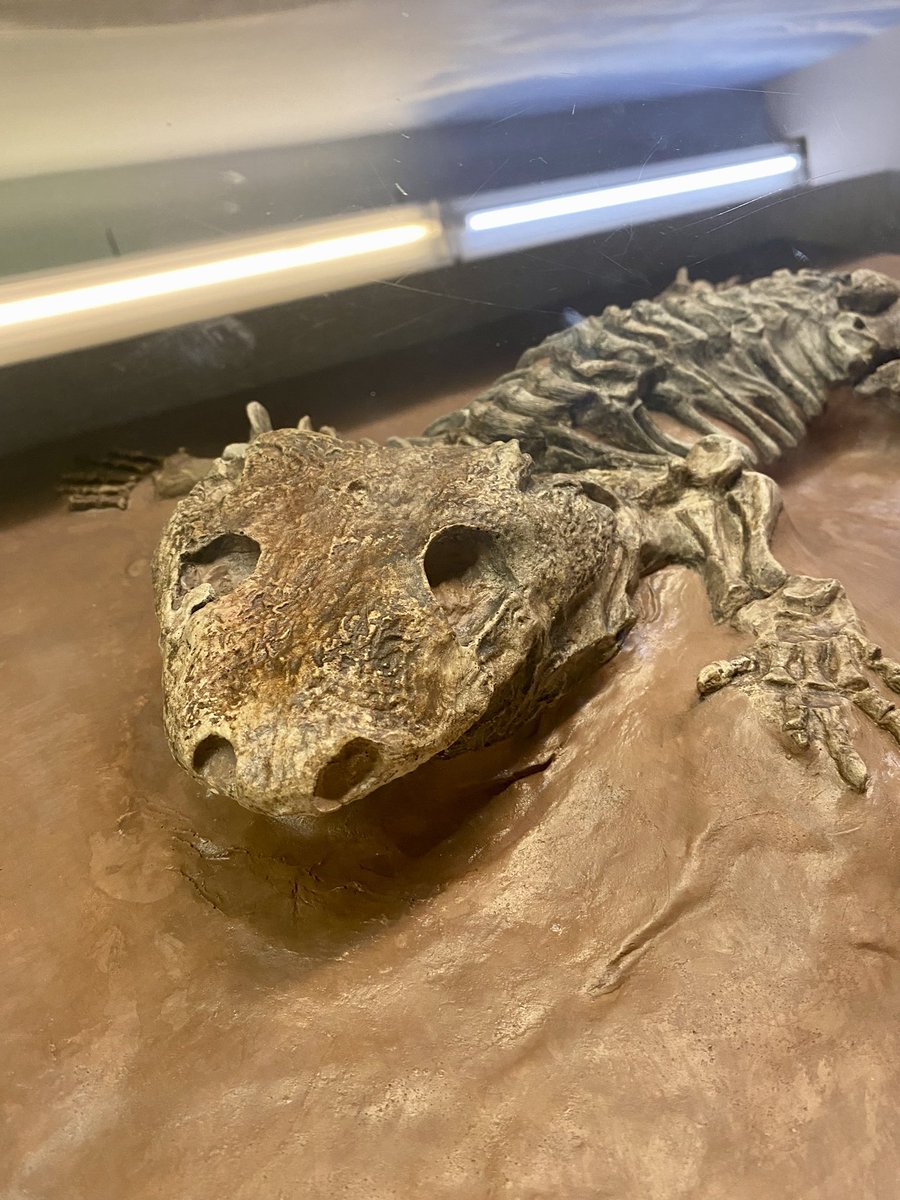 Me after the conference💀 #Evol2023 #happybuttired #NMMNHS