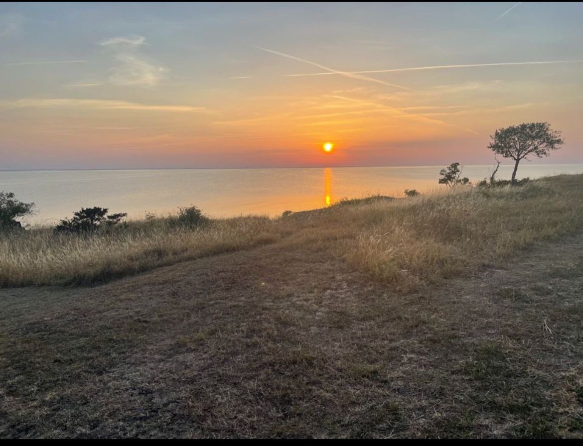 Midsummer greetings from Team Business Sweden in India! 

Our appreciation to all our partners who are determined to #pioneerthepossible with us.